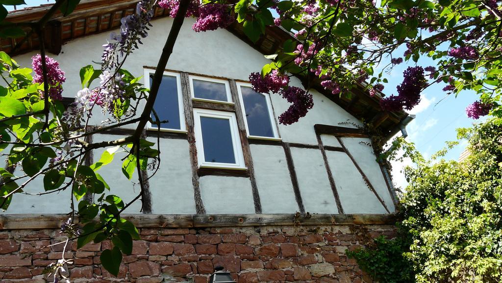Grange Des Arts Villa Saint-Nabor Exterior foto